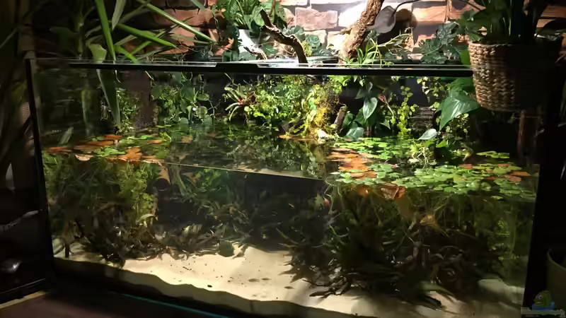 Gesamtansicht am 3. Tag von Botia (1)