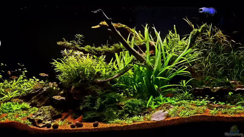 Gesamtansicht Anfang Jan 2014 von Dirk F. (2)