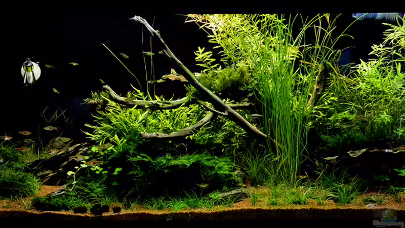 Gesamtansicht April/Mai 2014 von Dirk F. (1)