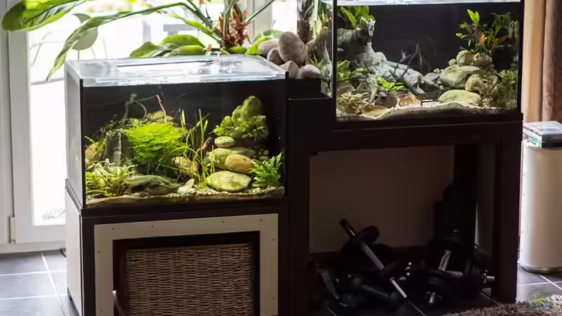 Gesamtansicht Aquarium - Kombination ´Smaugs Einöde´ von AjakAndi (2)