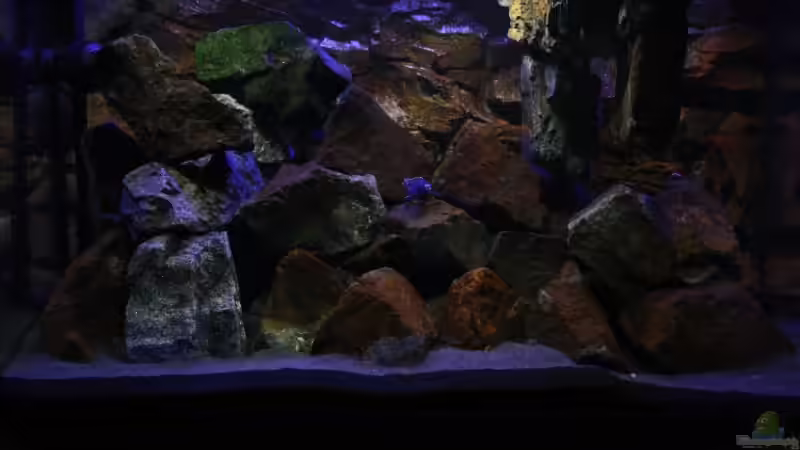 Gesamtansicht auf das Malawi-Becken ! von Florian Bandhauer (30)