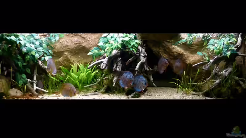 Gesamtansicht August/2014