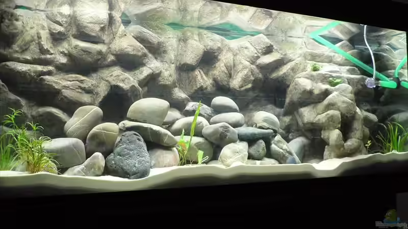 Gesamtansicht Becken, noch leer  von Thobi (1)