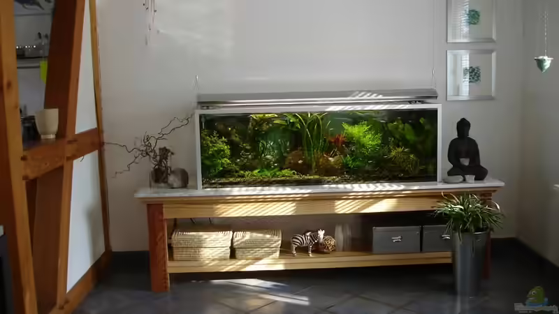 Gesamtansicht Becken und selbstgezimmerter Untertisch von Grünhexe (36)