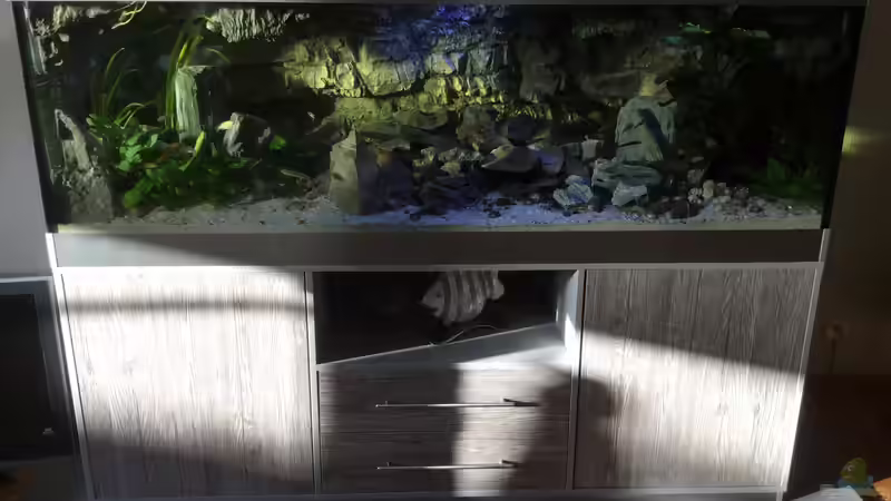 Gesamtansicht bei Abendsonne von Steffi66 (13)