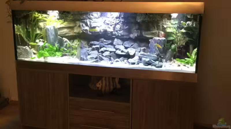 Gesamtansicht bei Dunkelheit von Steffi66 (15)