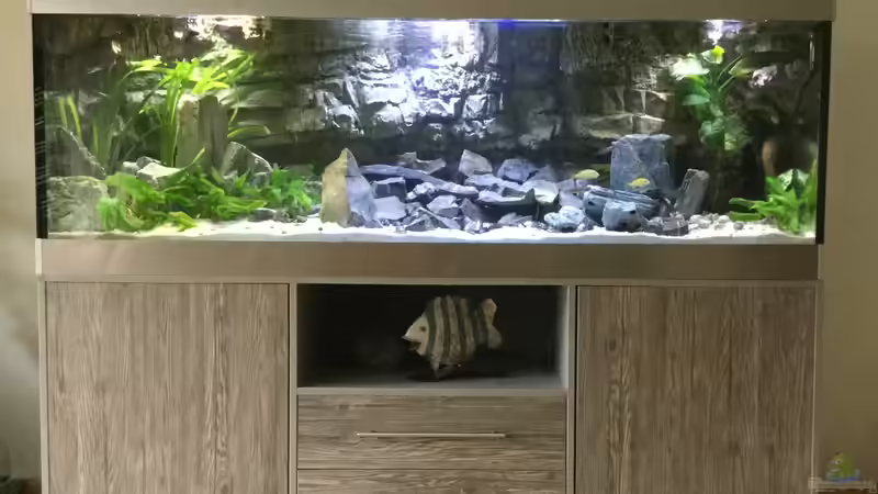 Gesamtansicht bei Tageslicht von Steffi66 (10)