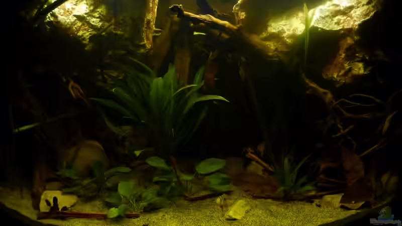 Gesamtansicht bei voller LED-Beleuchtung 22.10.12 von ~Marco~ (11)