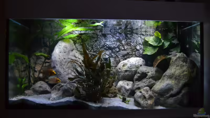 Gesamtansicht Beleuchtung um 19 Uhr von falleb (4)