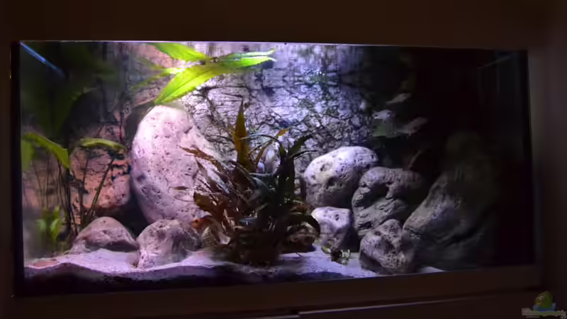 Gesamtansicht Beleuchtung um 21 Uhr von falleb (5)