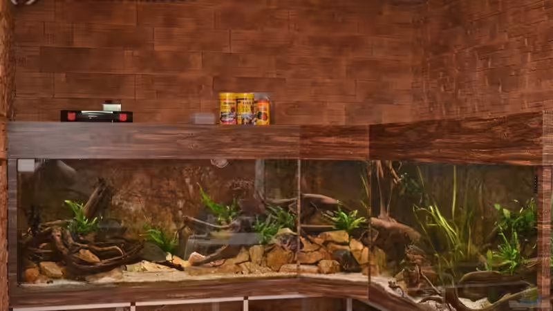 Gesamtansicht der Aquarienecke. Nur der Unterschrank muss noch verkleidet werden. von GGuardiaNN (60)