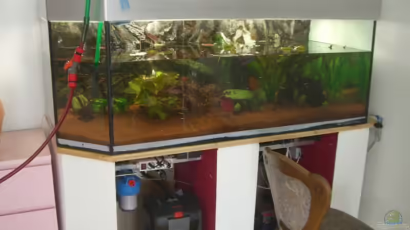 Gesamtansicht der Filter von Dimi Georgomanos (6)