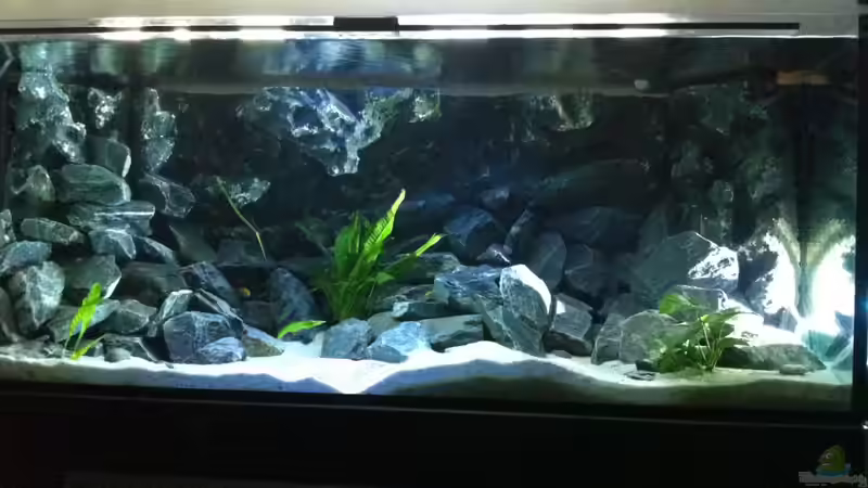 Gesamtansicht der Steinaufbauten (massiv aufgehellt) von Jean-Paul Ambord (14)