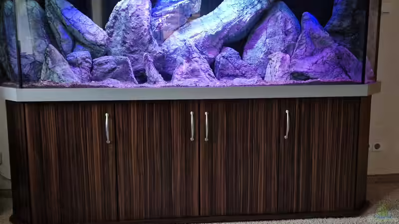 Gesamtansicht des Beckens von Sven Meyer (10)