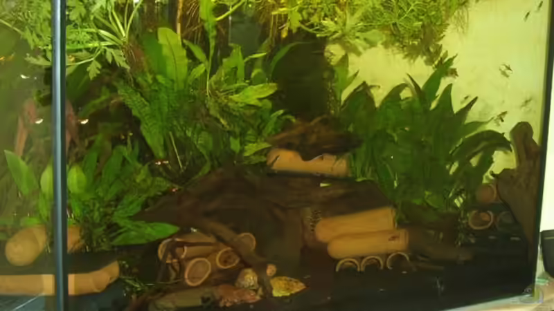 Gesamtansicht des Deltabeckens von Holger Bertram (1)