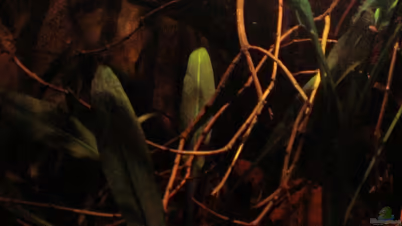 Gesamtansicht_Detail links_19.04.2014 von Südamerikafreak BK (7)