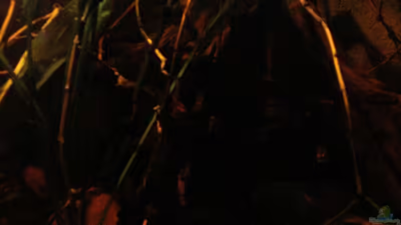 Gesamtansicht_Detail rechts_19.04.2014 von Südamerikafreak BK (8)