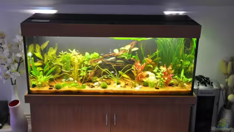 Gesamtansicht Dezember 2011 von Garfield (2)