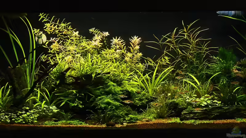 Gesamtansicht Ende November `13 von Dirk F. (2)