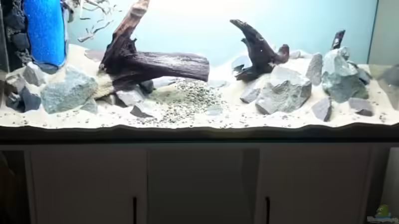 Gesamtansicht Hardscape von Aquaristik-Padawan (4)