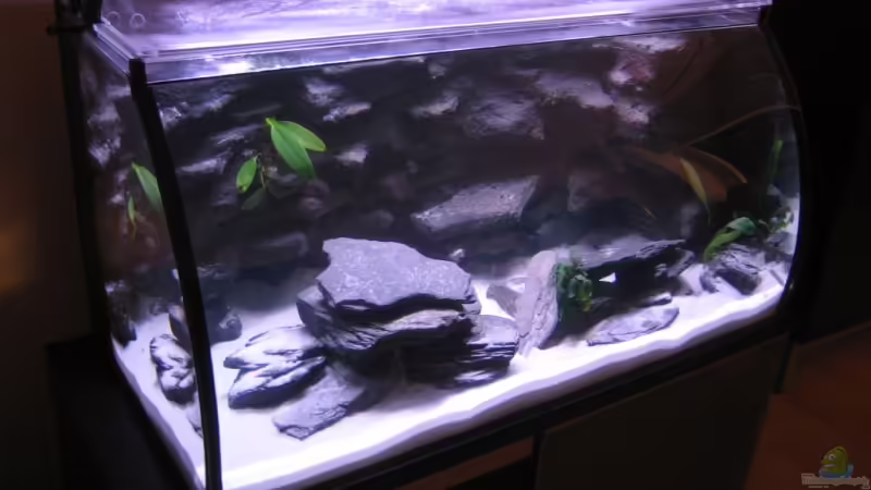 Gesamtansicht (hier noch ohne Besatz) von Andre Lorenz (1)