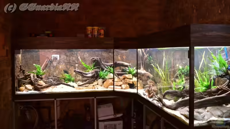 Gesamtansicht im ´Dunkeln´, Stand: 22.10.2011 von GGuardiaNN (61)