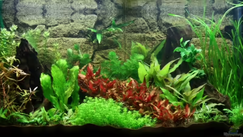 Gesamtansicht im Januar von Mimia805 (2)