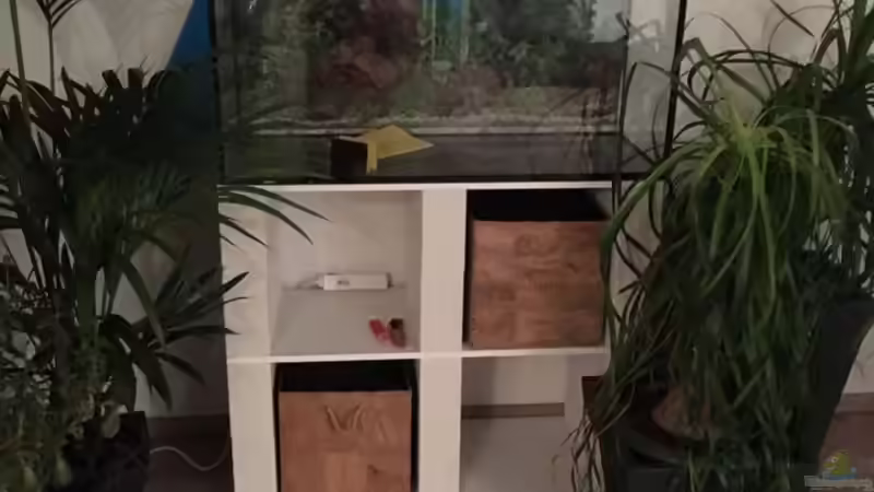 Gesamtansicht im Raum von stroelly (6)