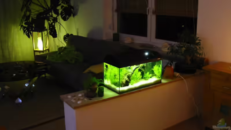 Gesamtansicht in Raum von Münker Stephan (3)