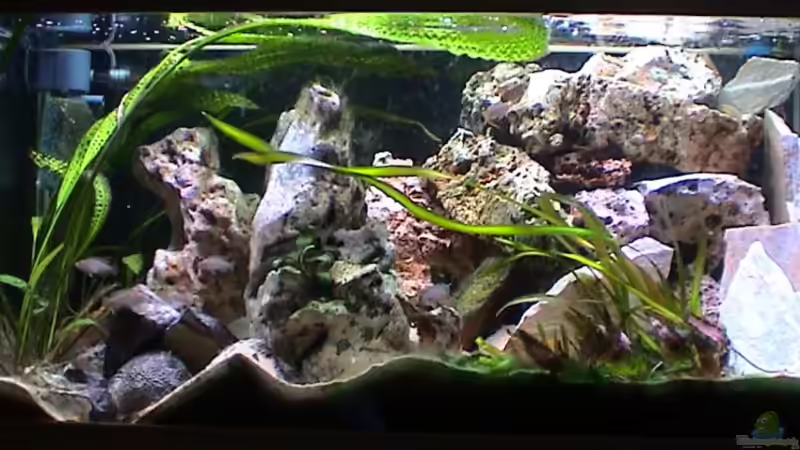 Gesamtansicht Juli 2007 von andi (2)