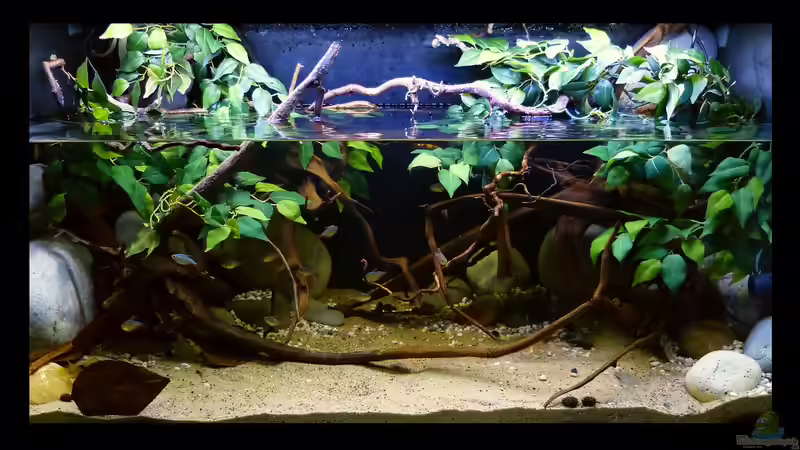 Gesamtansicht Juli/2016 von ~Marco~ (4)