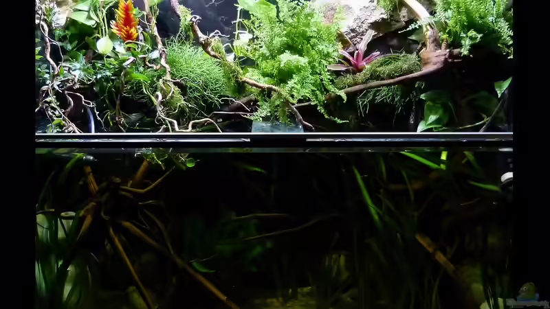 Gesamtansicht Land und Wasser 10.08.15 von ~Marco~ (12)