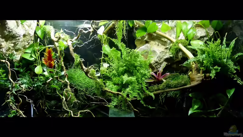 Gesamtansicht Landteil 10.08.15 von ~Marco~ (10)