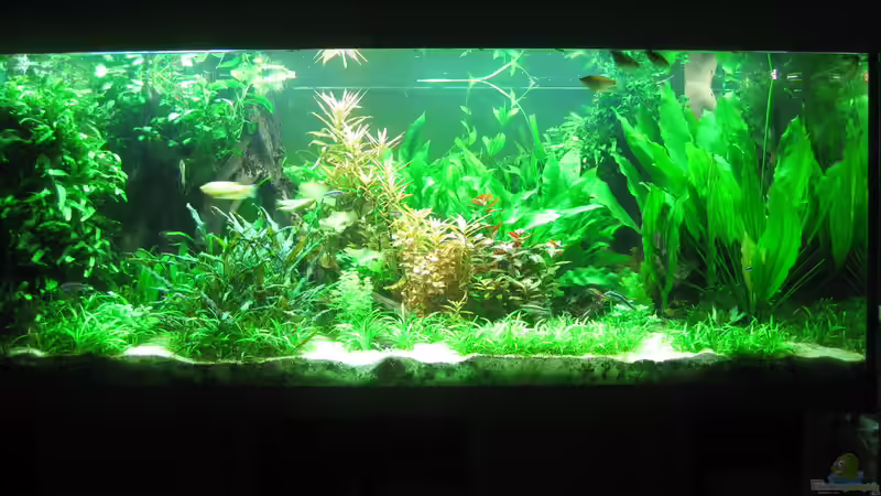 Gesamtansicht März 2014 von Rheinländer (2)