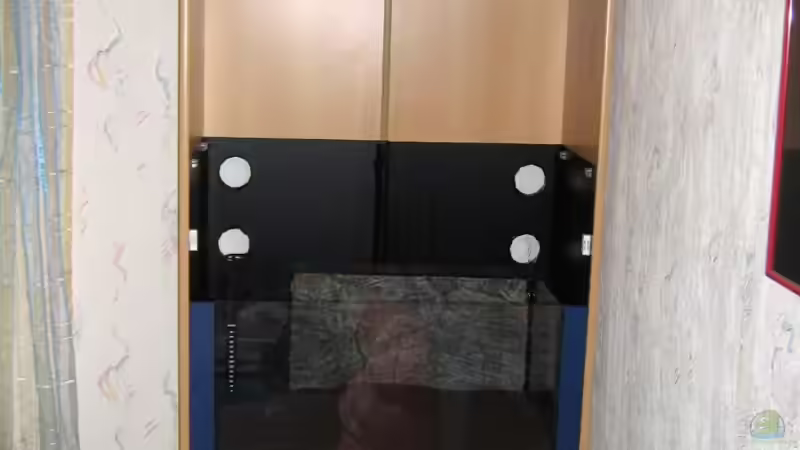 Gesamtansicht mit blauer Seitenverkleidung von Aquarium-Bochum (6)