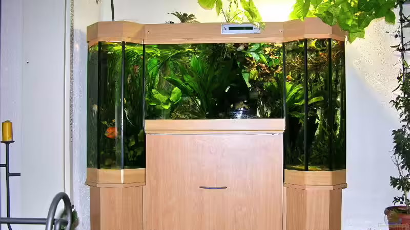 Gesamtansicht (mit HQI Leuchte und Pflanzen)