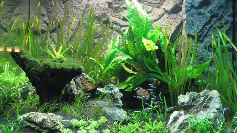 Gesamtansicht mit Neons und Schmettis am 05.01.2011 von Sergio10 (29)