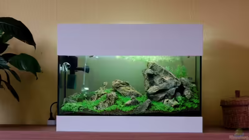 Gesamtansicht mit selbstgebauter Abdeckung von Kuro-Schio (2)