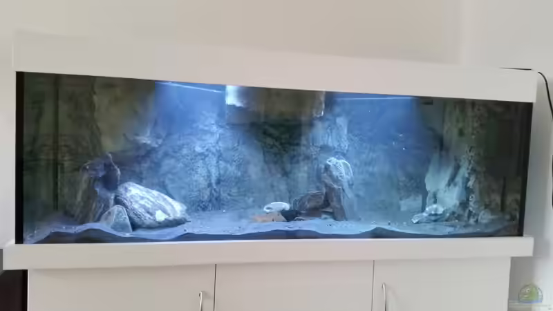 Gesamtansicht mit Wasser, noch etwas trüb, die Suppe von falleb (9)