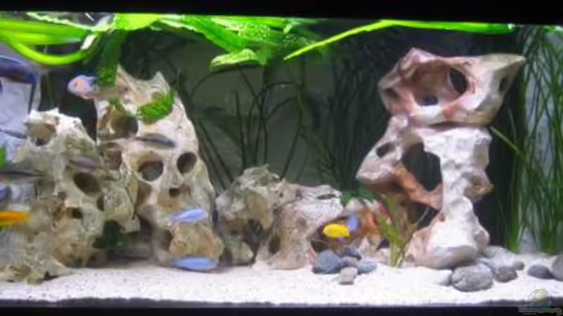 Gesamtansicht morgens und abends von Tobinhio (2)