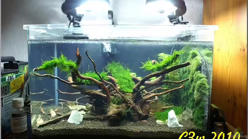 Gesamtansicht nach 1 Woche  von Christian Zwick (1)