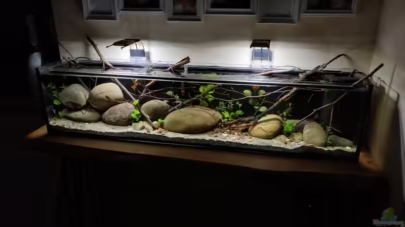 Gesamtansicht nach Bepflanzung 07.06.2019 von Tim Buktu (1)