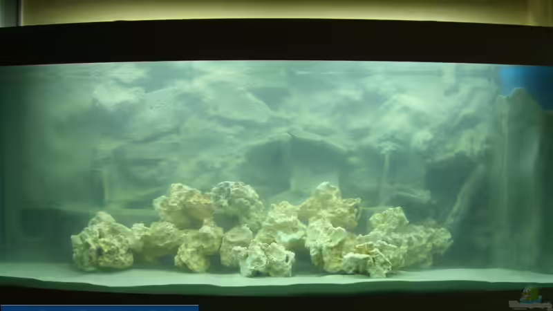 Gesamtansicht nach dem Befüllen (29.06.2007) von Markus Hütte (7)