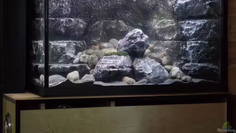 Gesamtansicht nach dem Befüllen von pa.Trick (12)