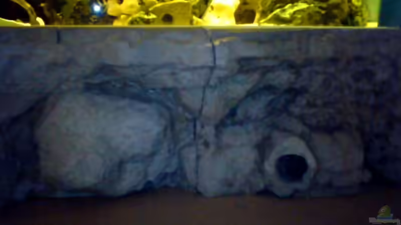 Gesamtansicht nach dem Trockem ( noch ohne Anstrich ) von stonis-home (15)