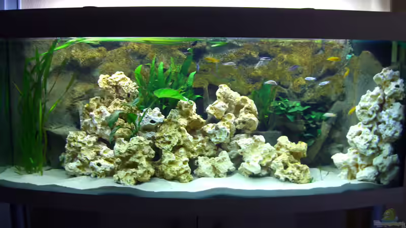 Gesamtansicht nach fast einem Monat (26.07.2007) von Markus Hütte (6)