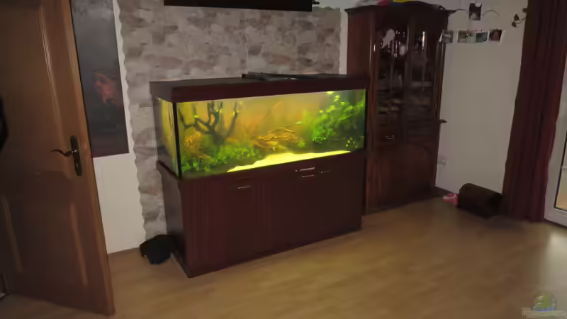 Gesamtansicht nach Umbau von Uwe Trauernicht (5)