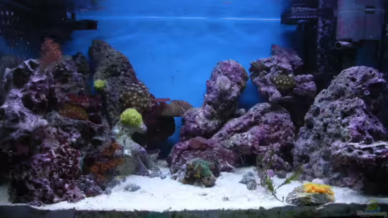 Gesamtansicht nanoriff von Christian Marx (1)