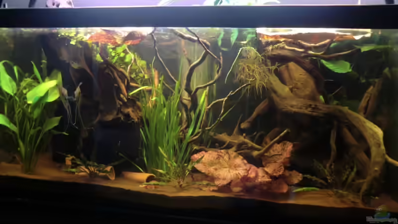 Gesamtansicht neu von Teh_D (2)