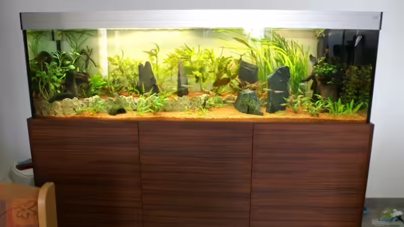 Gesamtansicht noch ohne Rückwand und mit Schieferstein von Christian Zwick (3)